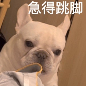 ErgggdffdFDH435435 .